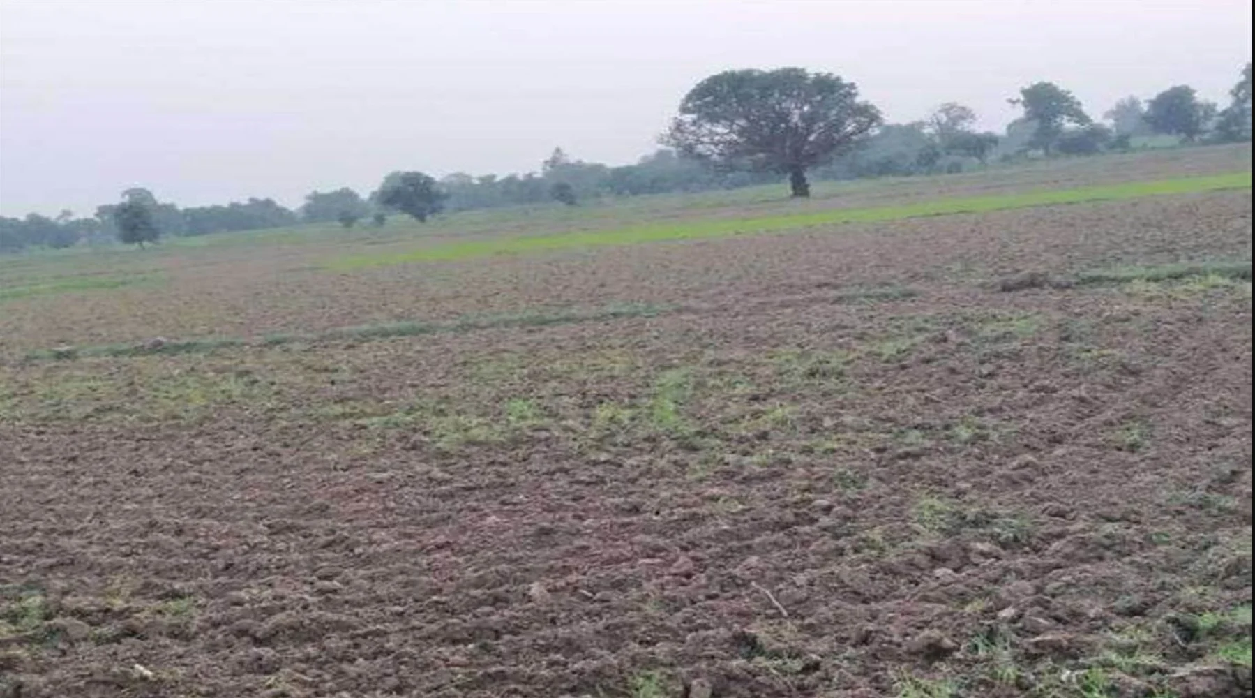 Bihar Chakbandi News: चकबंदी वाले गांवों में अब मिलेगा असली मालिक को मुआवजा! बिहार सरकार का बड़ा फैसला