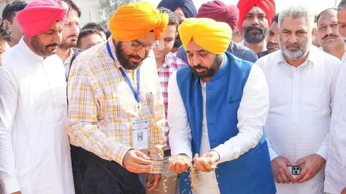 Punjab News: मान सरकार का कमाल! 150 लाख मीट्रिक टन धान खरीद का रिकॉर्ड, 11 लाख किसानों को मिला ₹34,000 करोड़ का भुगतान