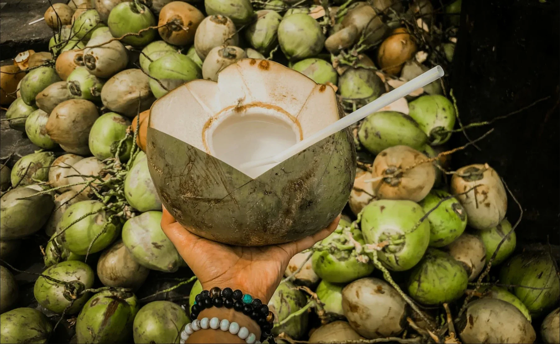 Coconut Buying Tips: नारियल खरीदने का सही तरीका, इन 5 आसान टिप्स से चुनें पानीदार या मलाईदार नारियल