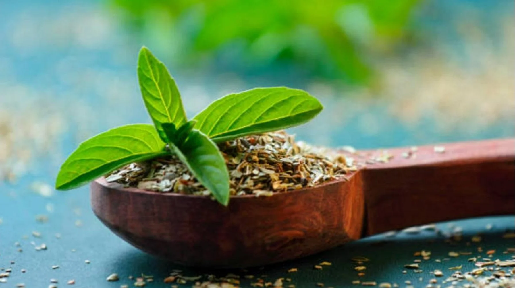 Tulsi Benefits: हर दिन खाएं तुलसी के 5 पत्ते और देखिए चमत्कार! वैज्ञानिक भी मान गए इसके चमत्कारी फायदे