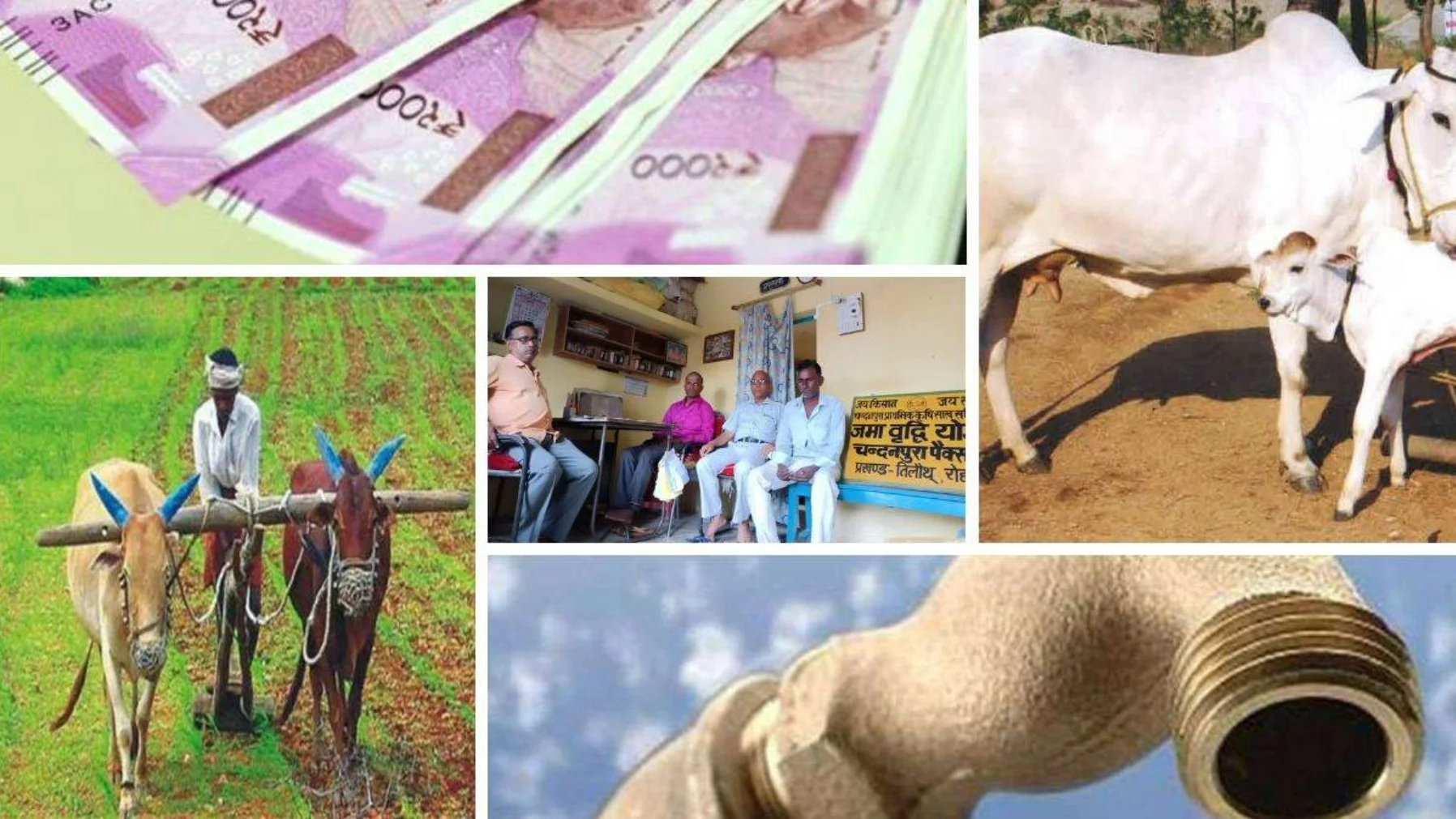 Bihar PACS: बिहार में डिजिटल क्रांति! 4,477 पैक्स हुए कंप्यूटराइज्ड, किसानों को होगा बड़ा फायदा