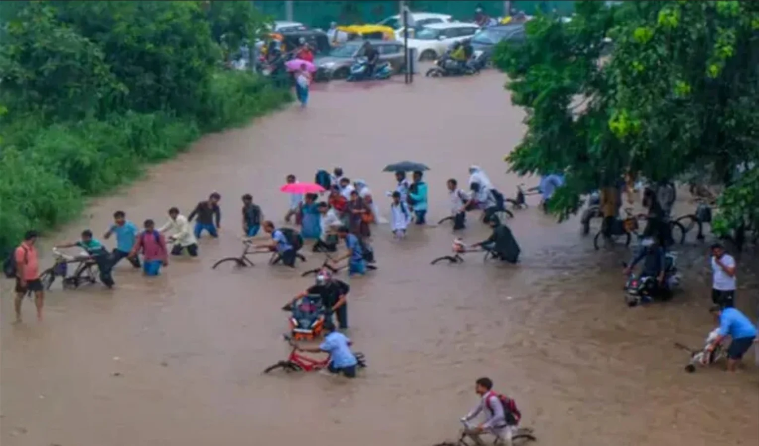 Punjab Floods 2025: 2.56 लाख लोग प्रभावित, 15 हजार से ज्यादा सुरक्षित निकाले गए – अब तक 29 की मौत