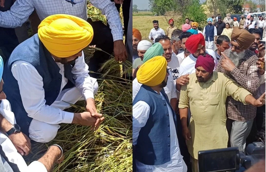 Punjab Flood Relief: CM मान का बड़ा ऐलान – विशेष गिरदावरी से हर किसान को मिलेगा मुआवज़ा, बीज-खाद भी मुफ्त