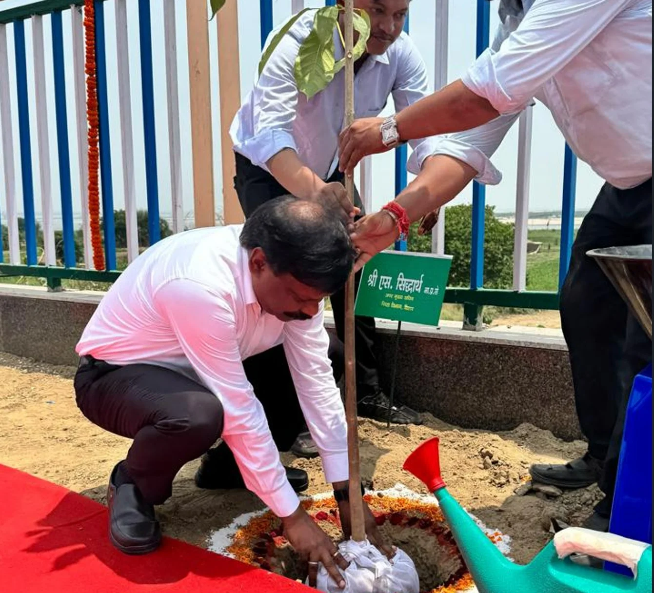 Vishwa Paryavaran Diwas 2025 Bihar: बिहार के स्कूलों में अब लगेगा हरियाली का पाठ! शिक्षा विभाग के एसीएस ने गंगा पथ पर किया वृक्षारोपण