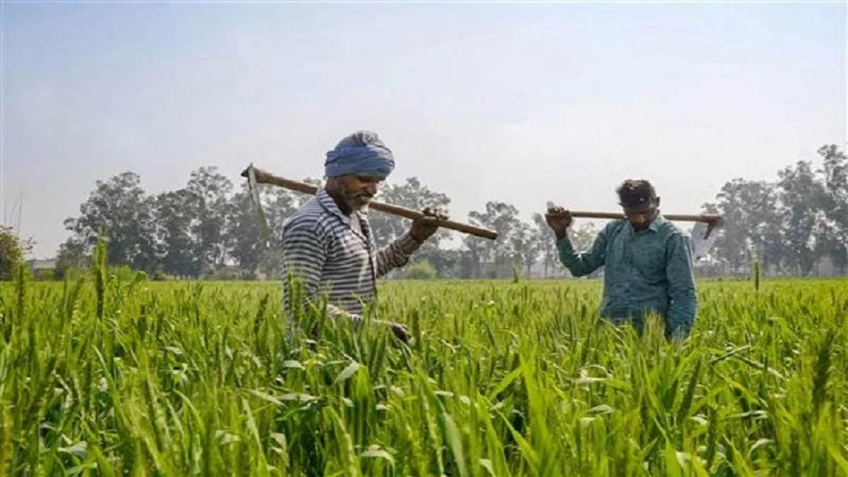 बिहार राज्य फसल सहायता योजना: प्राकृतिक आपदाओं के बीच किसानों के लिए जीवन रेखा