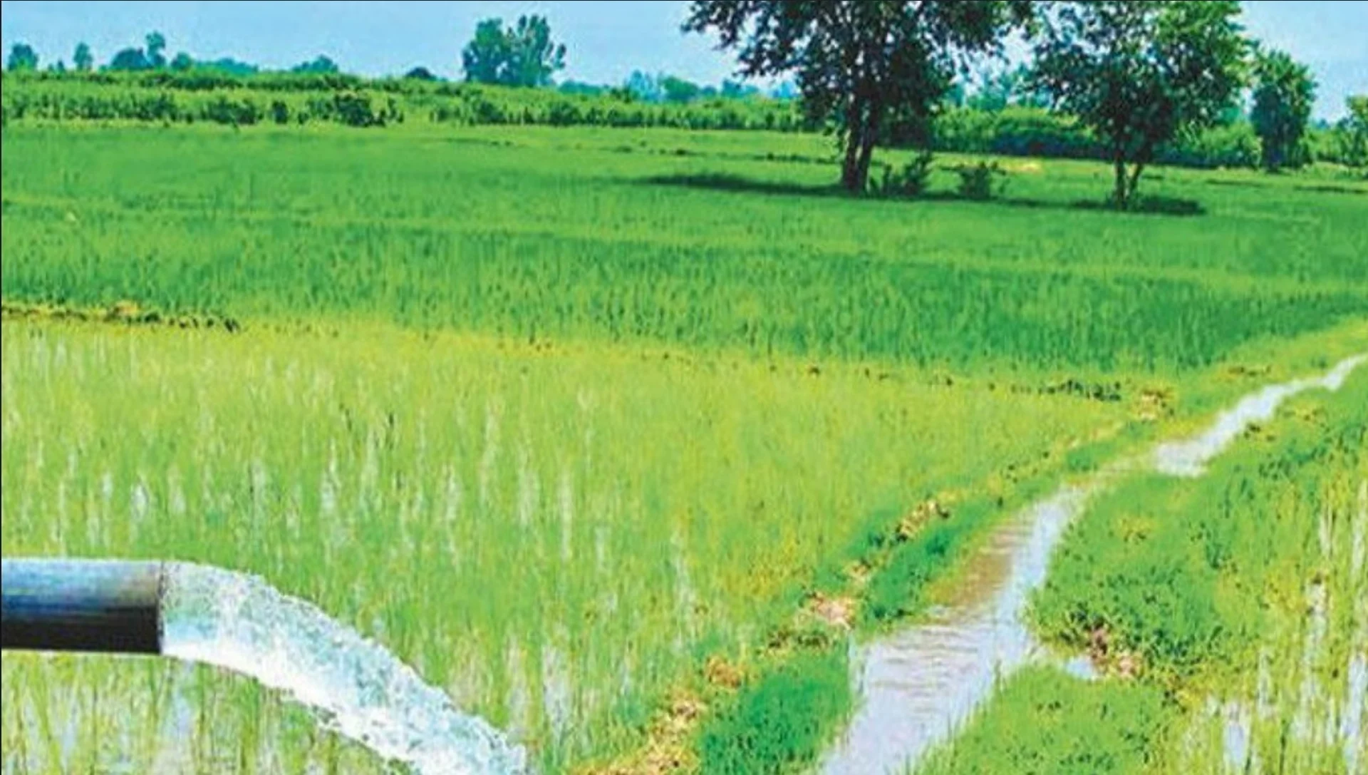 Bihar Irrigation: बिहार में सिंचाई की बड़ी कामयाबी! 1307 योजनाओं से 5.80 लाख हेक्टेयर खेतों तक पहुंचा पानी – जानें पूरी डिटेल"