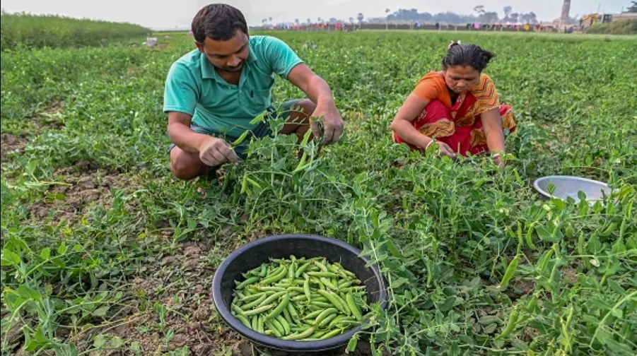 Mukhyamantri Kisan Yojana: बिहार के किसानों के लिए बड़ा ऐलान – कृषि बिजली आपूर्ति को बेहतर बनाने की नई रणनीति!