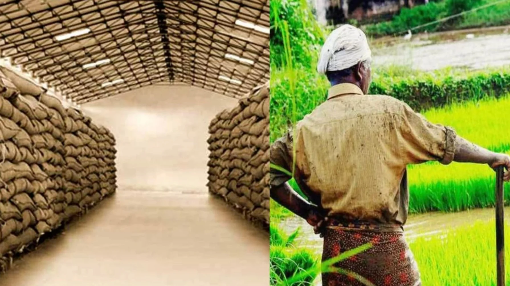 Pax godam yojana Bihar: बिहार में 6,158 नए गोदाम! अब किसान बेचेंगे नहीं, संभालेंगे अपना अनाज – भंडारण से बदलेगा किस्मत का खेल