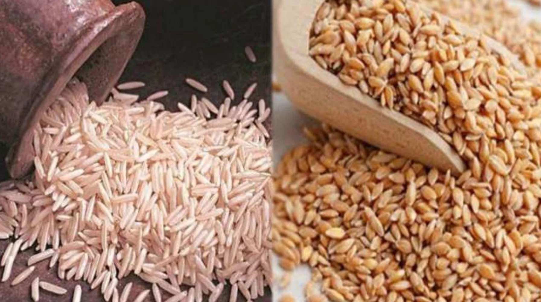 Bihar Crop Production 2025: बिहार में अनाज उत्पादन ने तोड़ा रिकॉर्ड! चावल, गेहूं और मक्का में ऐतिहासिक बढ़ोतरी