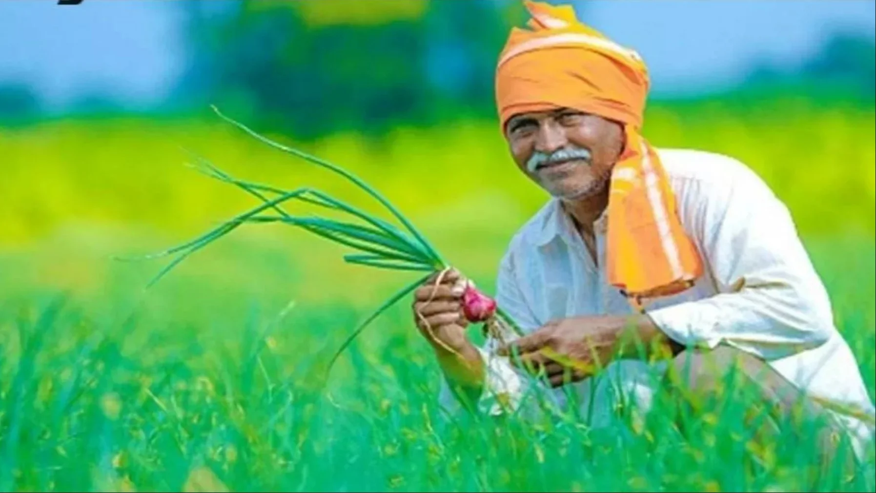 Bihar Agriculture Market 2025: बिहार के किसानों को जल्द मिलेगी नई बाजार सुविधा – जानिए कहां बन रहा है आधुनिक मंडी प्रांगण!