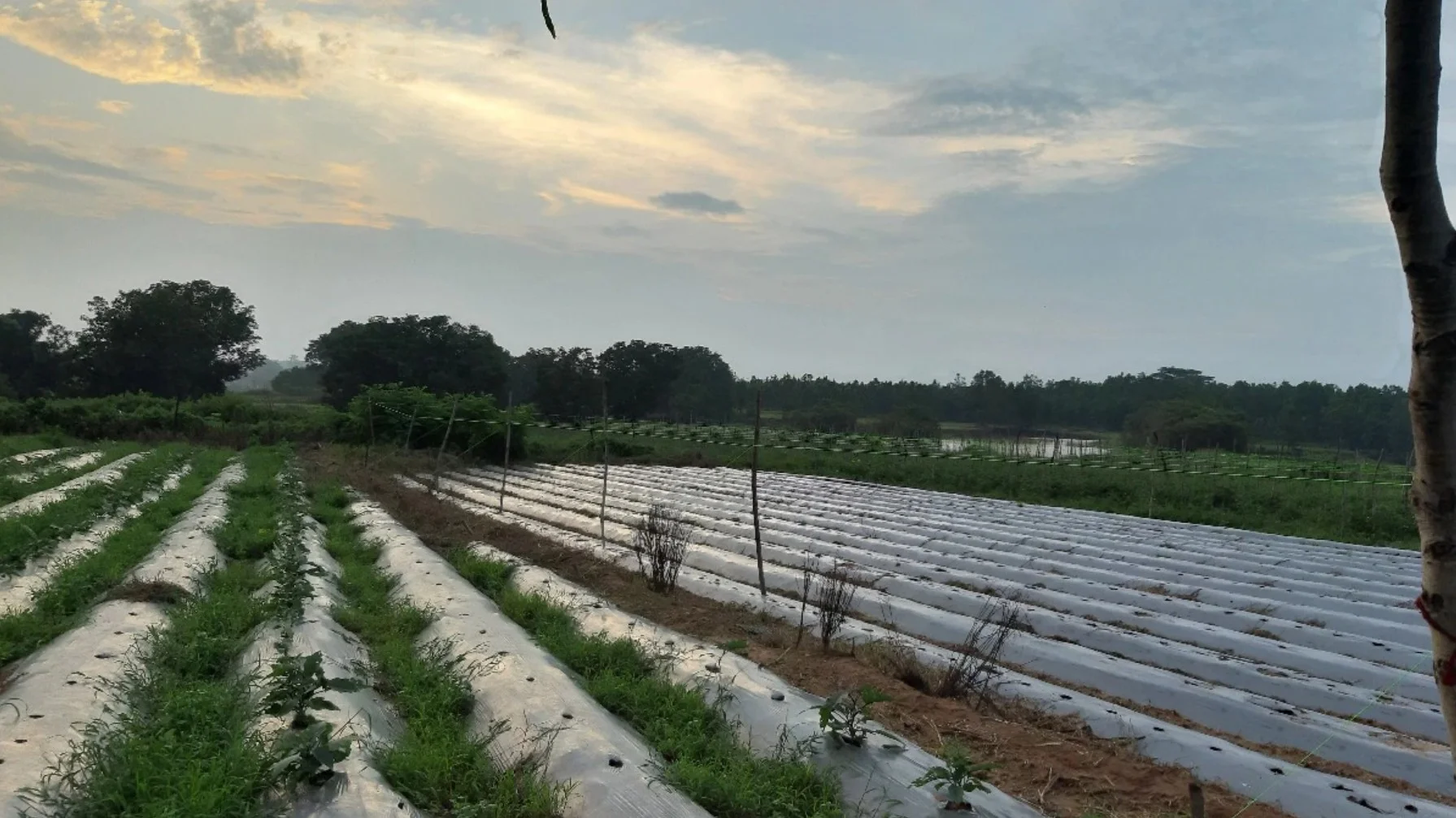 Bihar Sinchai Yojana: गोपालगंज-सिवान-सारण के किसानों को बड़ी राहत! 2061 करोड़ की योजना से लाखों हेक्टेयर में सिंचाई संभव