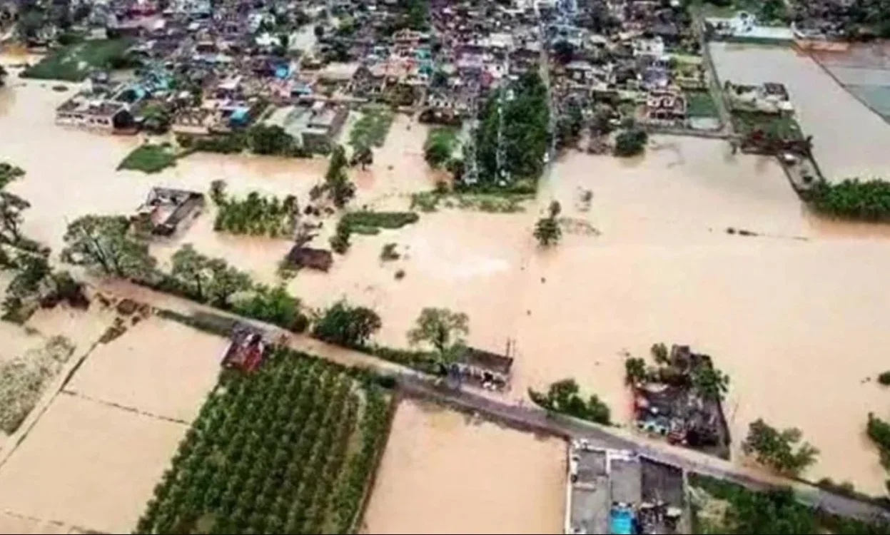 Punjab Floods 2025: 22,854 लोग सुरक्षित निकाले गए, 46 मौतें – फसलें डूबीं, हालात गंभीर