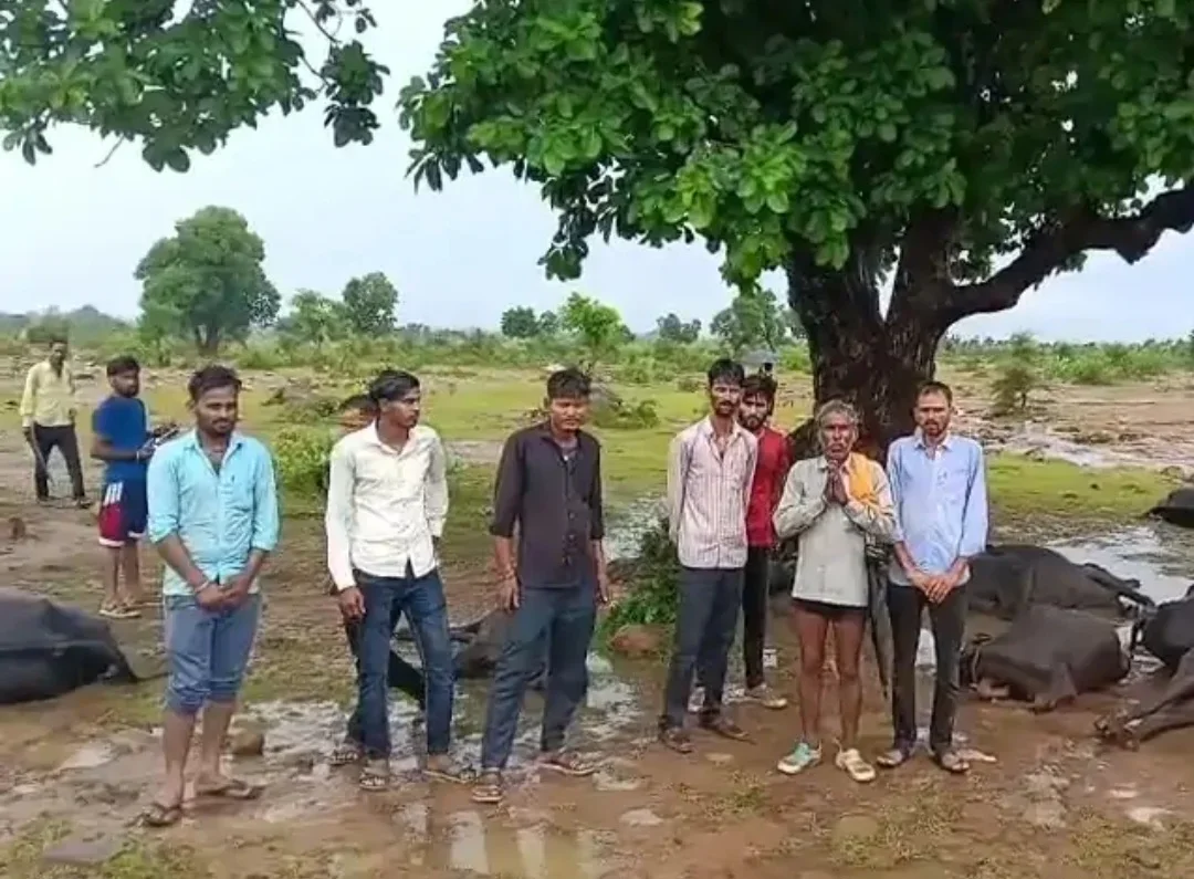 मध्य प्रदेश: शिवपुरी में आकाशीय बिजली का कहर, 2 आदिवासी बच्चों की मौत; 17 भैंस और 9 बकरियां भी मरीं