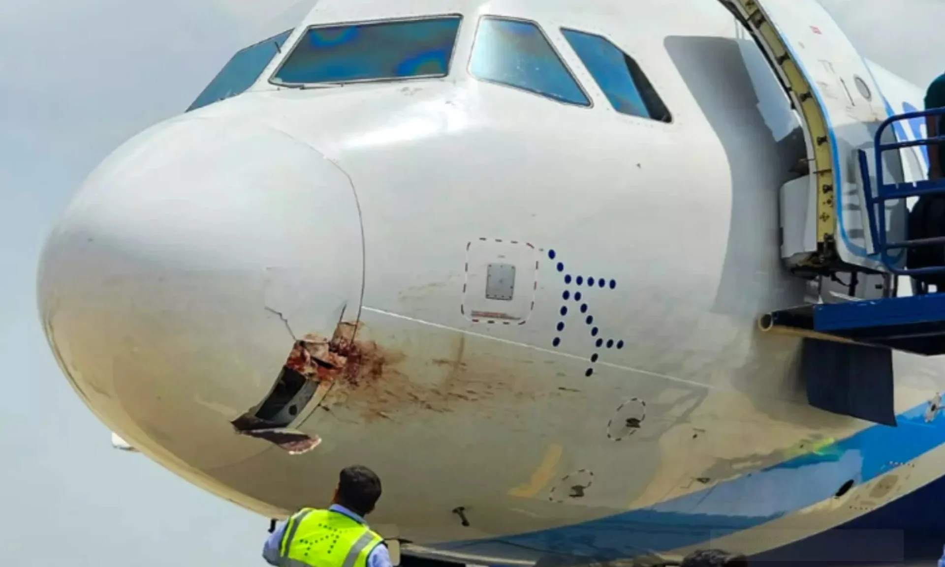 IndiGo Plane Emergency Landing: IndiGo Plane से हवा में टकराया पक्षी, पटना में Emergency Landing, जानिए कैसे बची 175 यात्रियों की जान