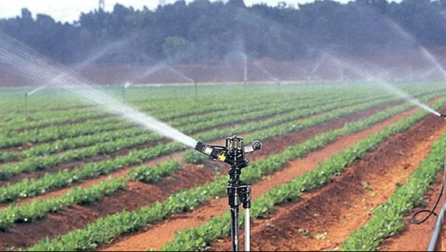 Bihar Irrigation: पटना के किसानों के लिए खुशखबरी! 2088 लाख की लागत से बनेगी नई सिंचाई योजनाएं, 4,054 हेक्टेयर को मिलेगा पानी!