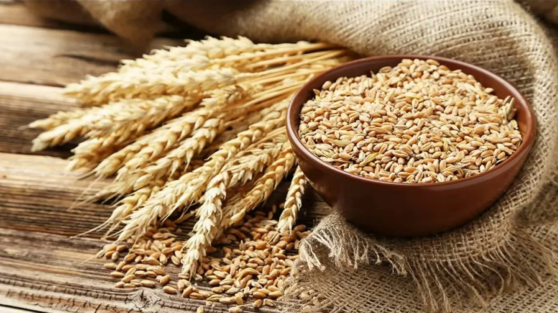 Bihar Agriculture: बिहार में गेहूं खरीद शुरू – पटना सबसे आगे, जानें एमएसपी और भुगतान प्रक्रिया! 