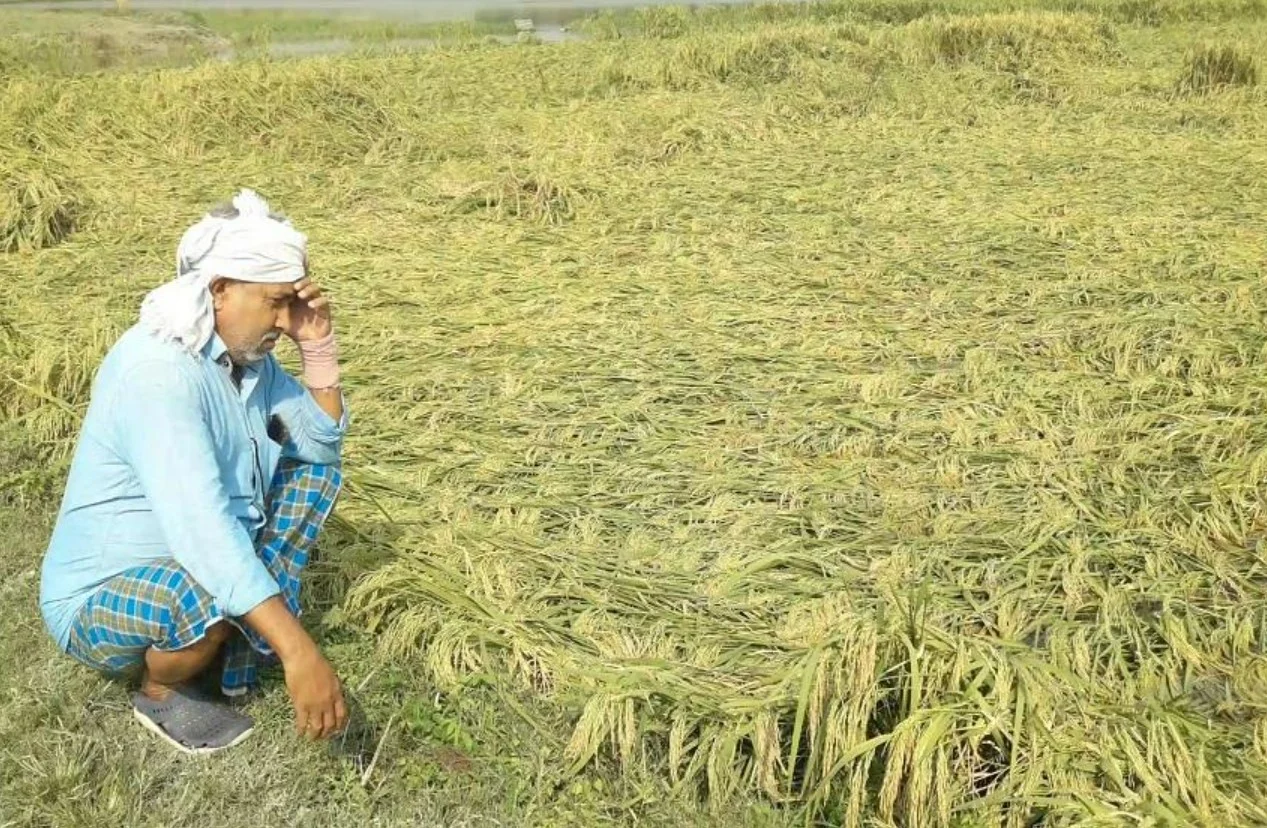 Bihar Kisan Relief: आँधी-बारिश से फसलें तबाह, किसानों को तुरंत मिलेगा मुआवज़ा – डिप्टी CM का बड़ा ऐलान!