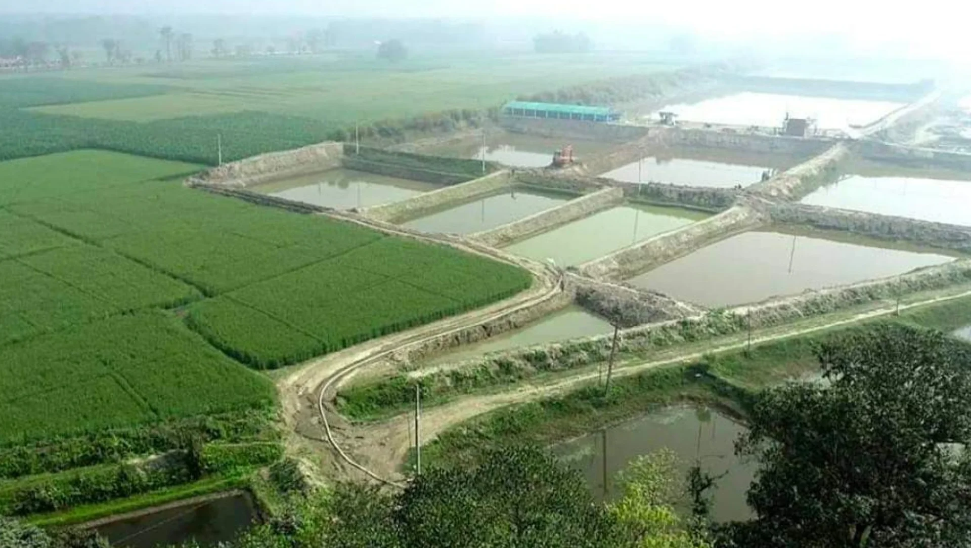 Bihar Fishery Scheme 2025: बिहार में मछली पालन से बनेगा रोजगार का समंदर! जानिए सरकार की नई योजना और तगड़ा अनुदान