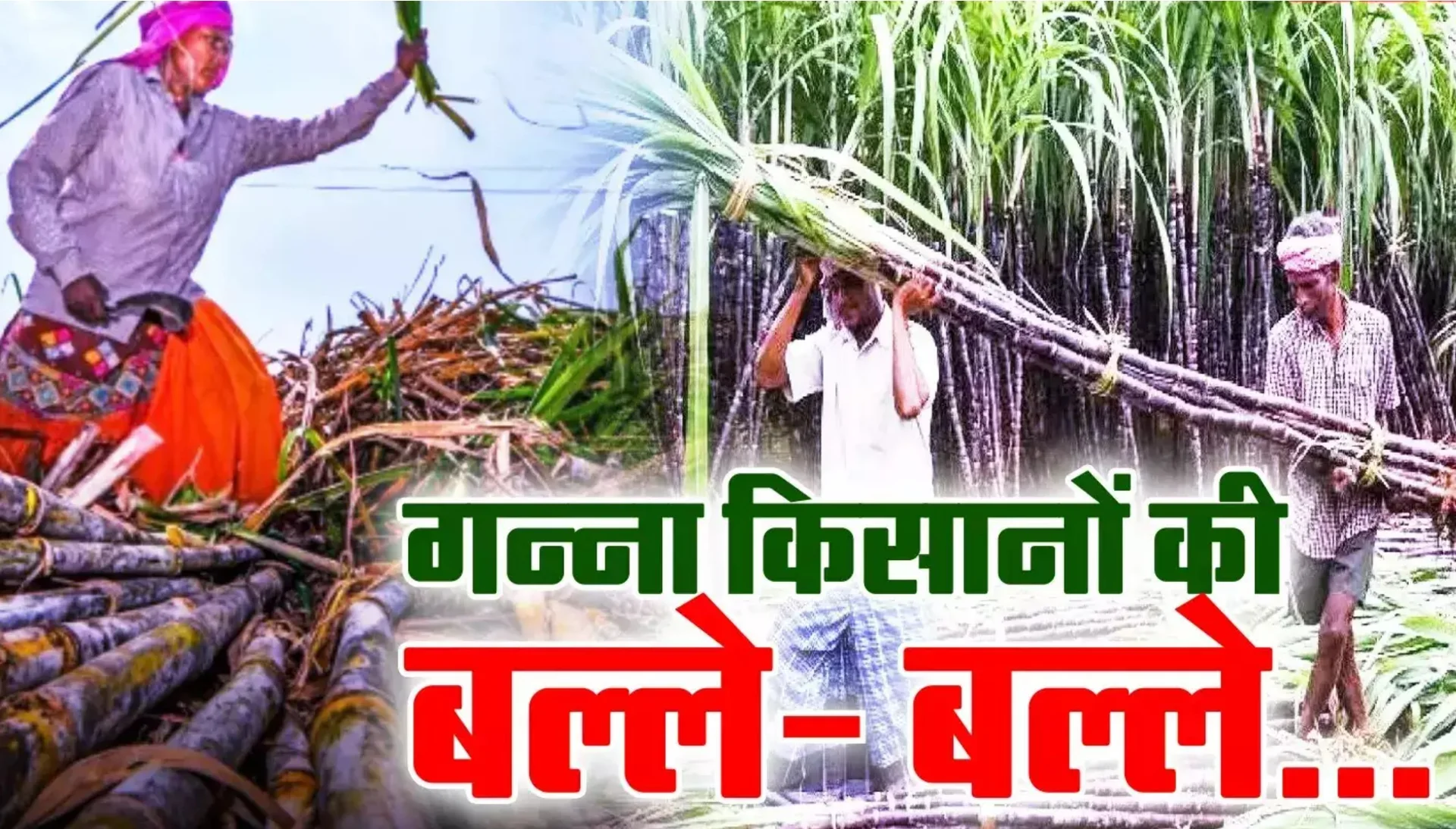 Bihar Sugarcane Farming Subsidy: बिहार के गन्ना किसानों के लिए बड़ी खुशखबरी! सरकार लाई आर्थिक उन्नति की नई योजना – जानिए कैसे मिलेगा फायदा!