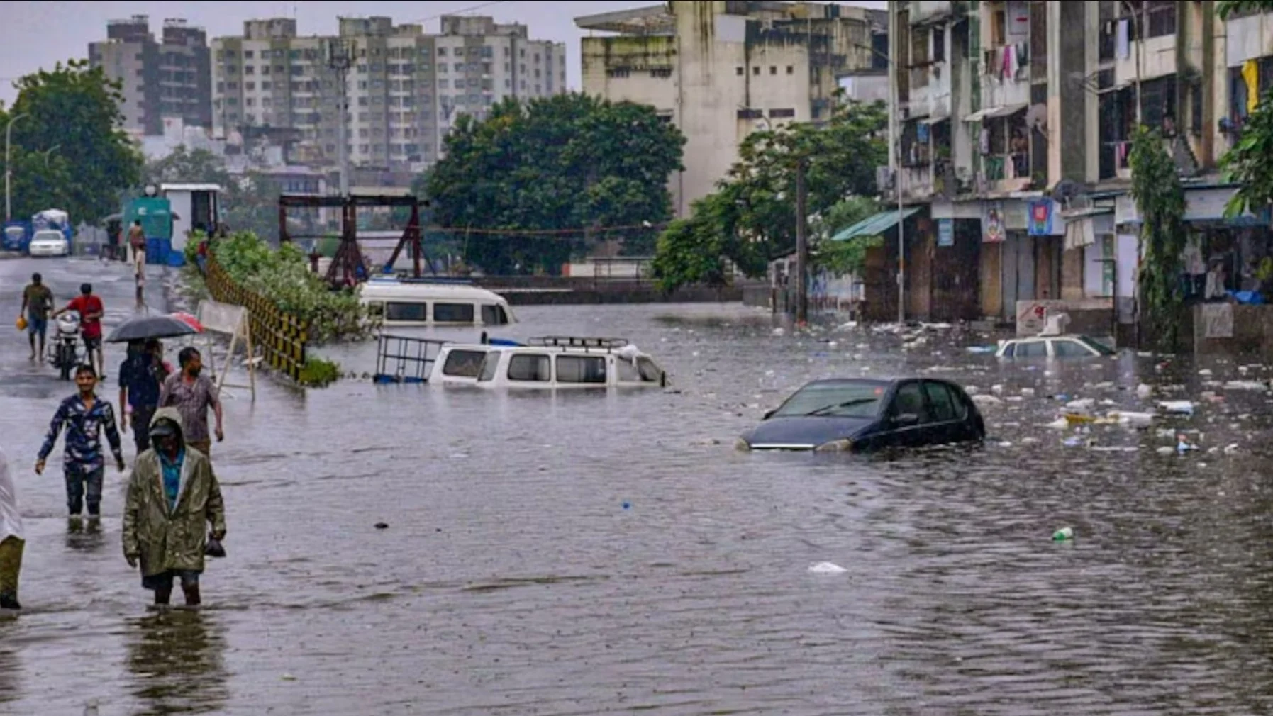 IMD Alert: अगले तीन दिन इन राज्यों में मूसलधार बारिश का अलर्ट, IMD ने दी चेतावनी, बाढ़ का बढ़ा खतरा